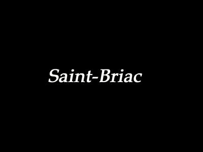 u13/gnavet/medium/41675993.Saint_Briac.jpg