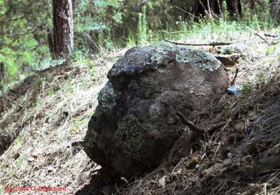 Old Stone Face