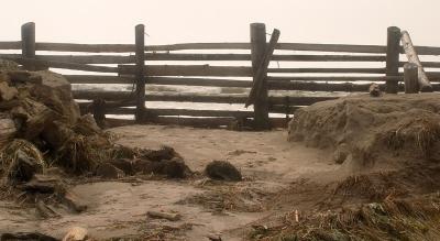 Hurricane Juan's aftermath at Crescent Beach