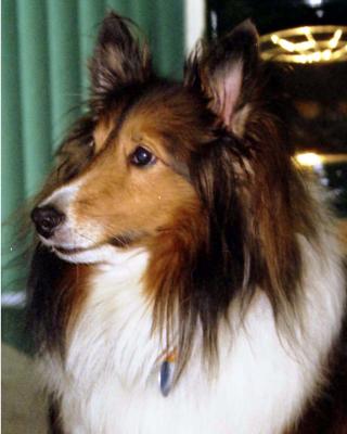 u13/gordy/medium/3654930.PrincessBallThanksgiving2001MacysParade.jpg