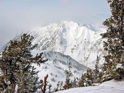 Grand View from Alta Ski Area