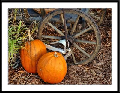 Pumpkins and Wagon Wheel