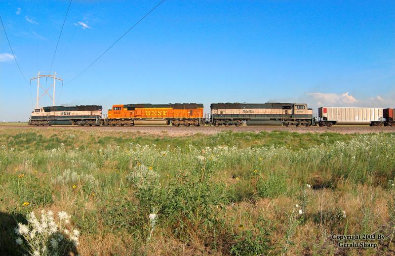 BNSF 8789 East At Old Tampa