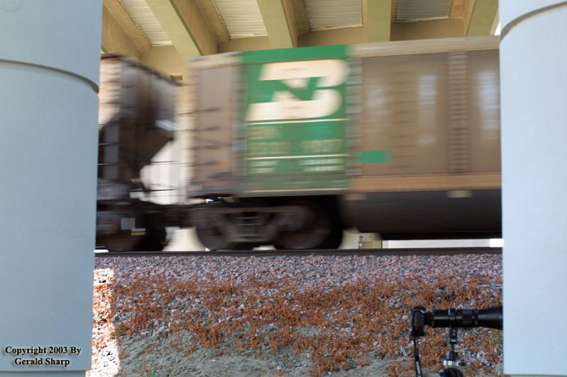 Speedy Hopper