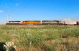 BNSF 8789 East At Old Tampa