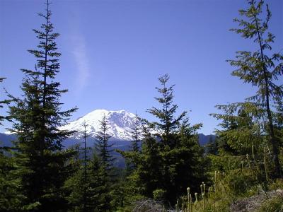 Mt. Rainier   (RN)