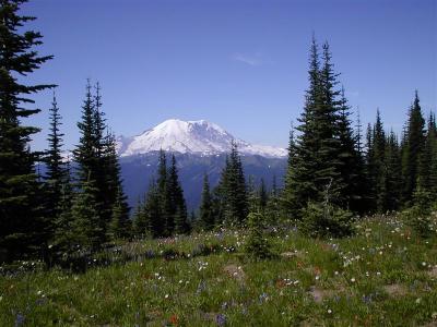 Mt. Rainier 2