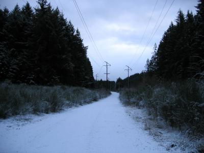Puget Power Trail