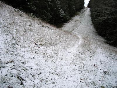 Trail off of Poo Poo Point