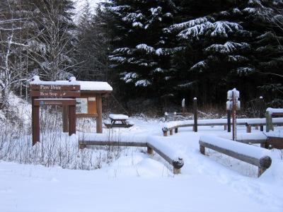 Paw Print Rest Stop