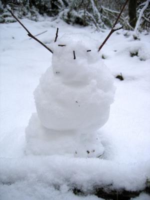 Snow Person 1