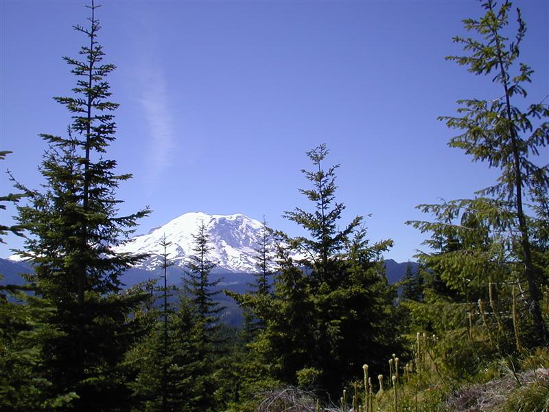 Mt. Rainier   (RN)