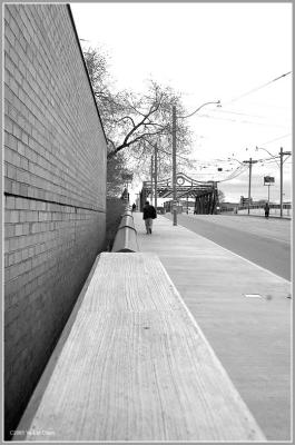 Root of the Don River Bridge on Queen 