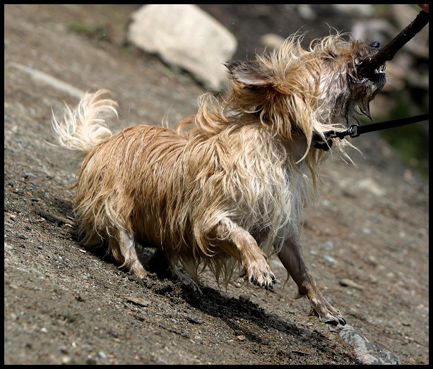 Stick