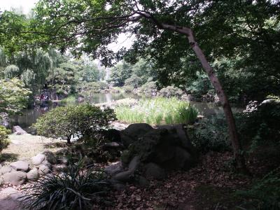 PICT0129.JPG