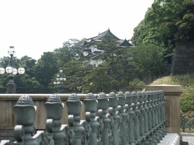 PICT0135.JPG