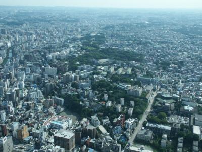 PICT0397.JPG