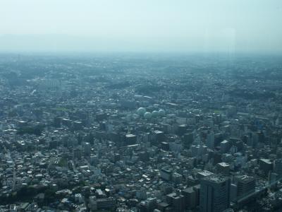 PICT0398.JPG