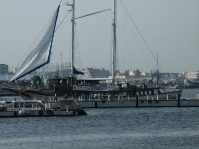 PICT0414.JPG