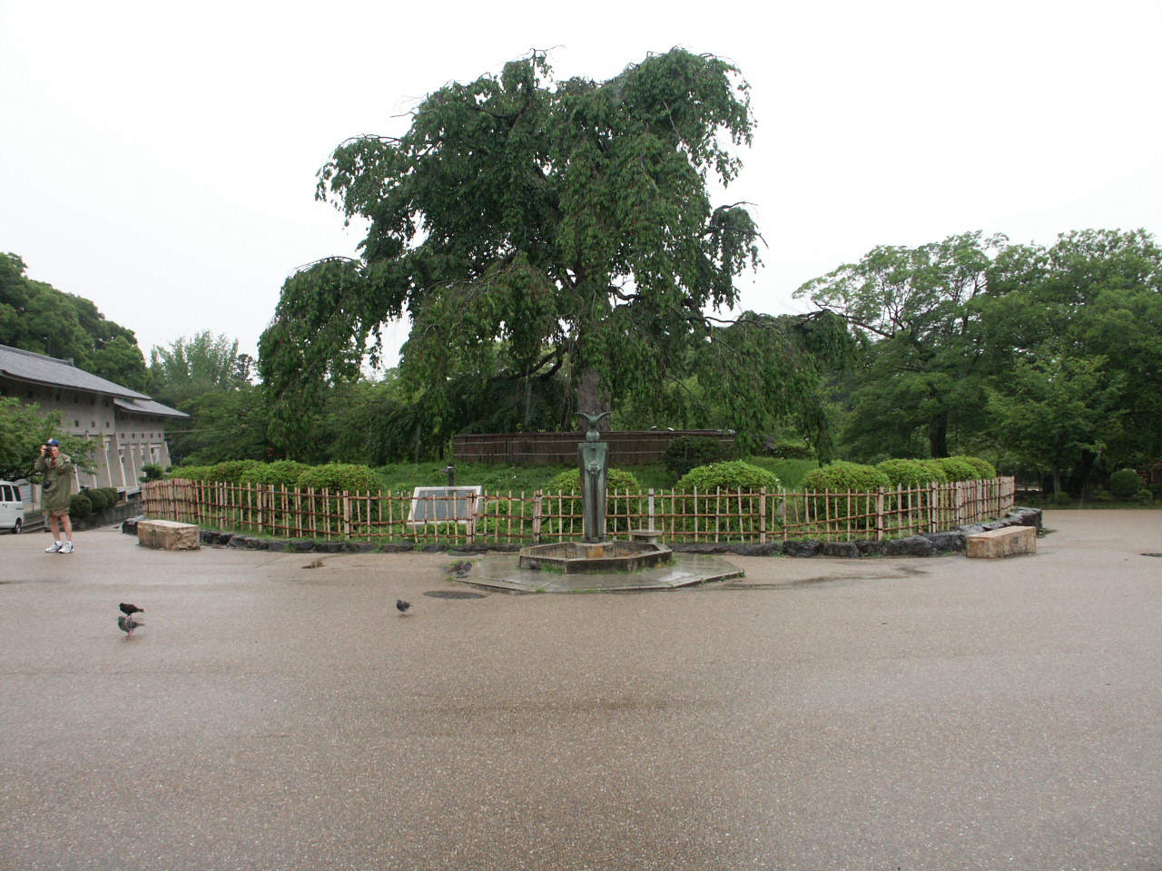PICT0442.JPG