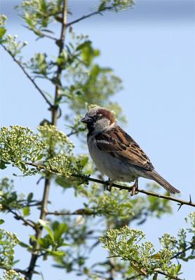 IMG_5259.jpg