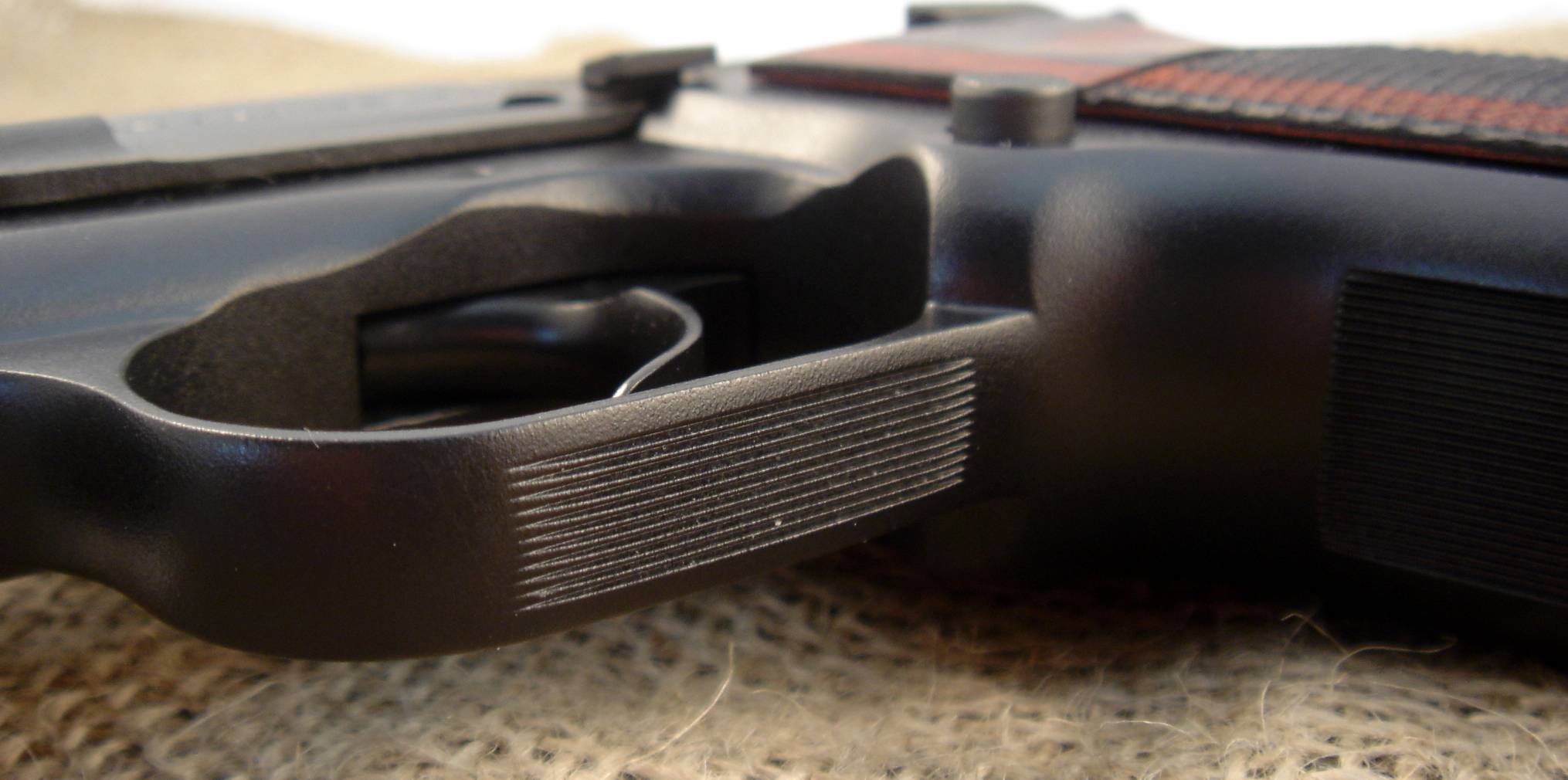 trigger_guard.JPG