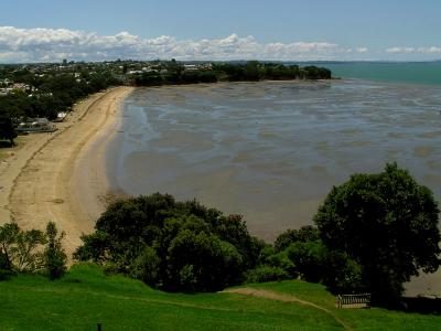 Narrow Neck Beach.jpg