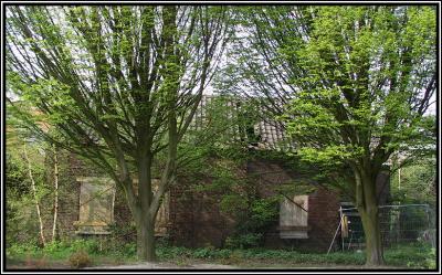 No Garden