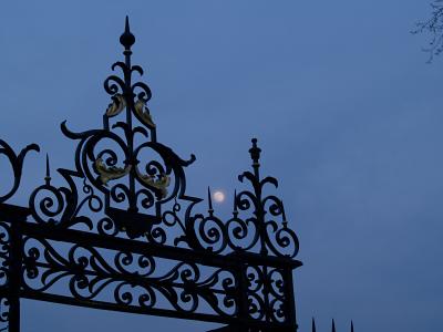 Clare College iron gate