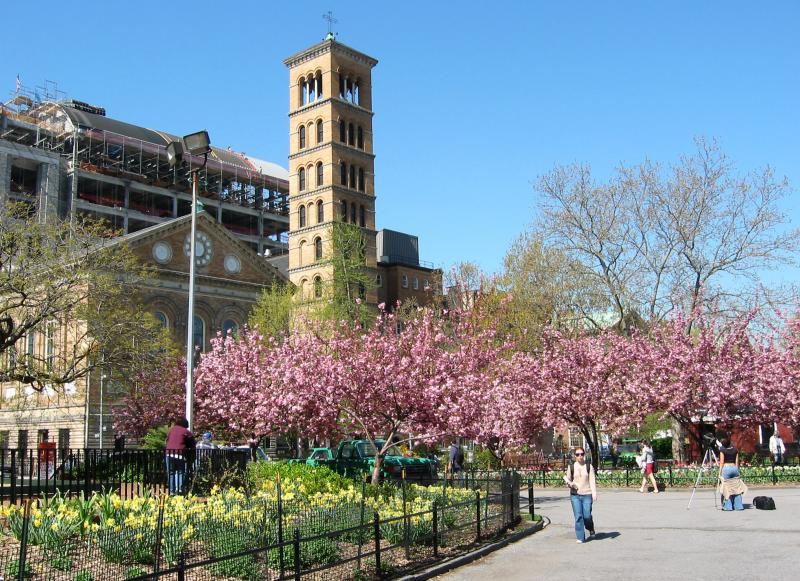Judson Church  & NYU Law School