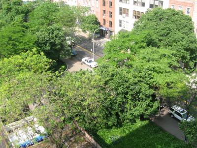 LaGuardia Place Plaza