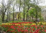 Washington Square Park