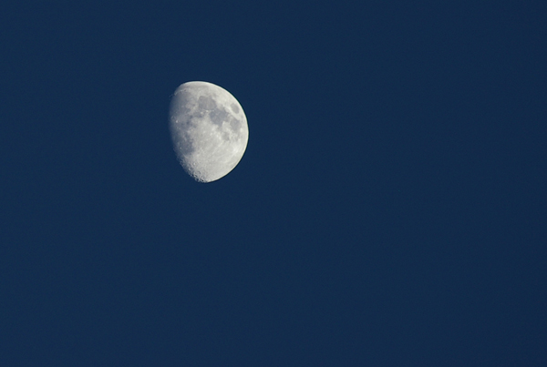 Moon