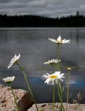 DSCN5665.jpg