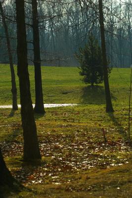 January 9, 2005: A Drop of Golden Sun