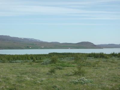 Driving through the dessert-landscape of the picturesque Myvatn