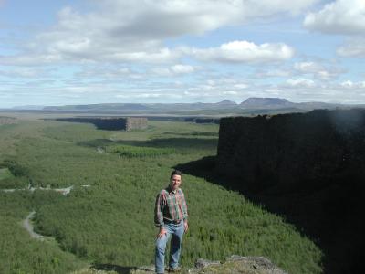 Canyon with forest and sea