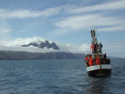 On the whale-watching-tour