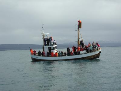 On the whale-watching-tour