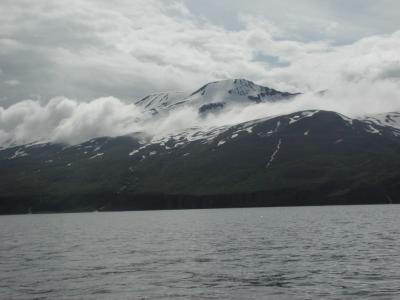 On the whale-watching-tour