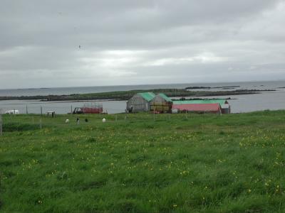 Walking through a fishing-village