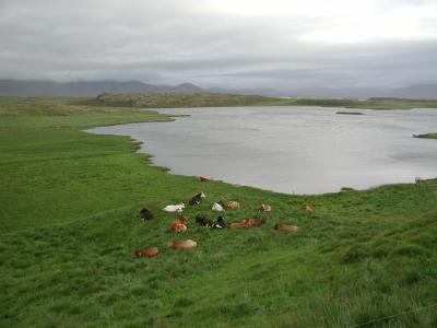 Surroundings of little Hill Helga