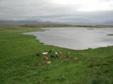 Surroundings of little Hill Helga