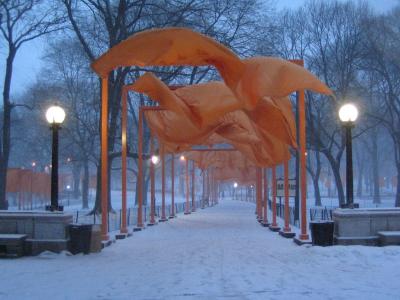 IMG_8474_resize.JPG