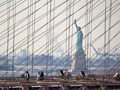 IMG_9024 Lv Shp_resize.jpg