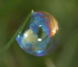 Me in a bubble.