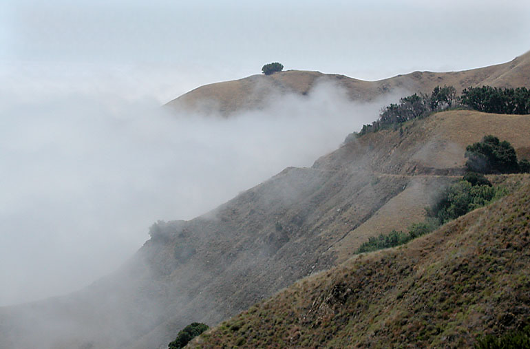 Nacimiento Road