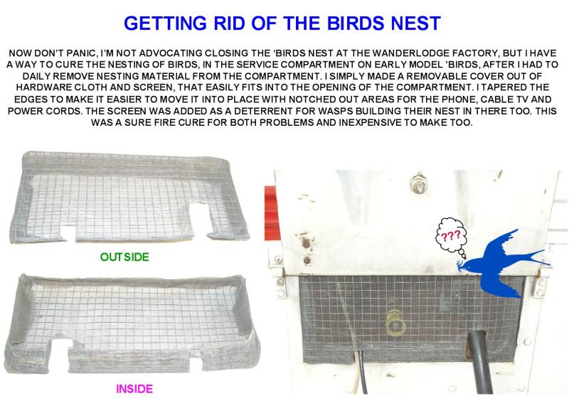 GETTING RID OF THE BIRDS NEST