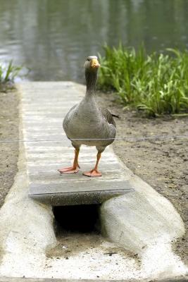 IMG05205.jpg