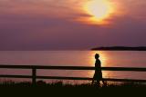 Man in Sunset at Rocky Harbour<br>**WINNER**